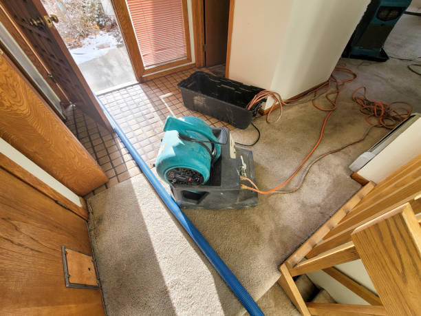 Best Water damage restoration process  in Point Pleasant, WV