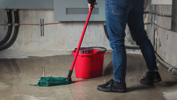 Best Residential water damage restoration  in Point Pleasant, WV