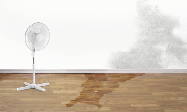Best Emergency water damage restoration  in Point Pleasant, WV