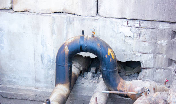 Best Local water damage restoration  in Point Pleasant, WV