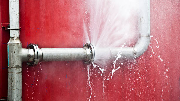 Best Sewage cleanup and water damage restoration  in Point Pleasant, WV