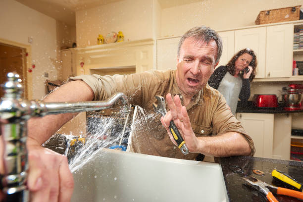 Best Sewage cleanup and water damage restoration  in Point Pleasant, WV